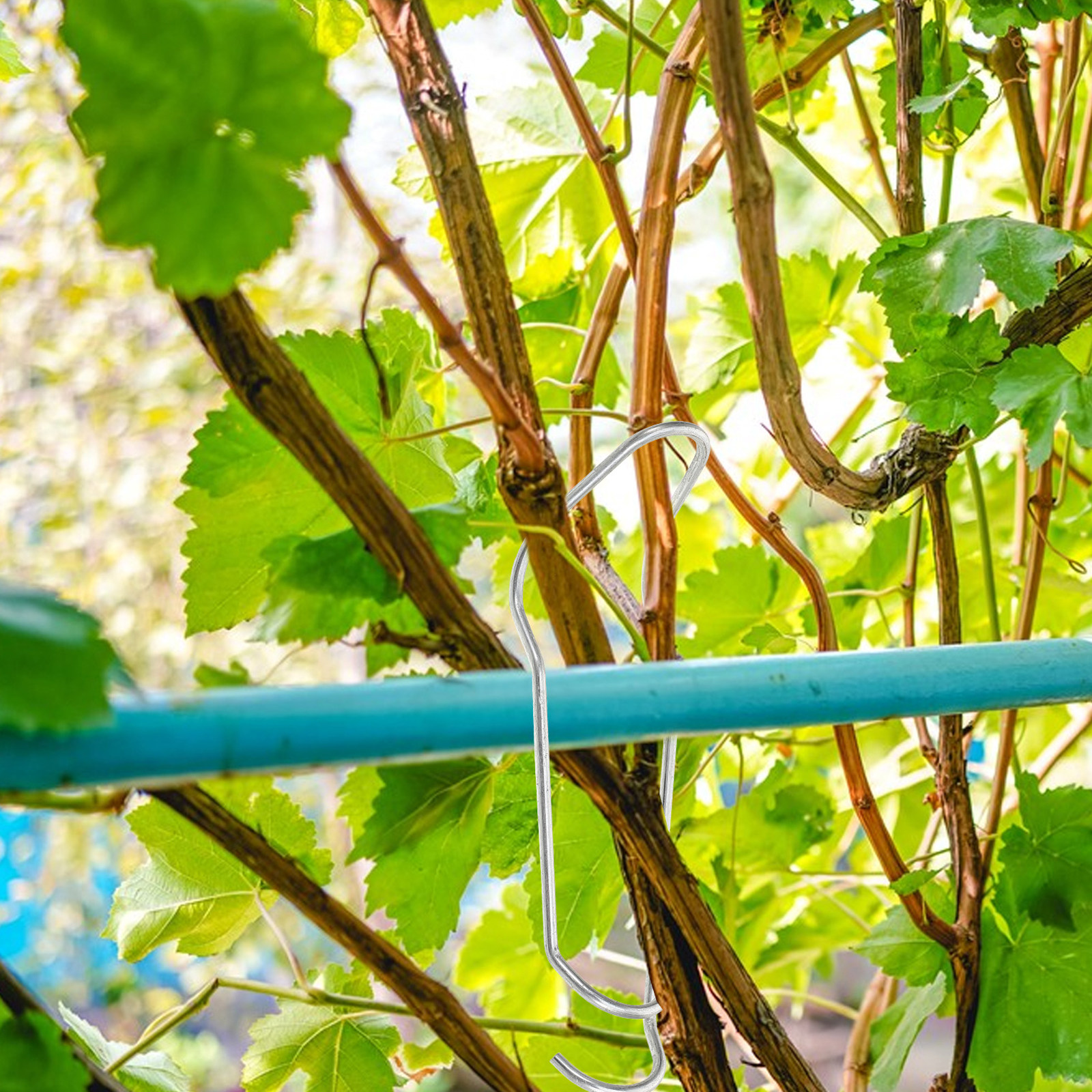 20 Buah Konektor Trellis 16Mm, - Plastic Pipe Clip ulasan dan harga
