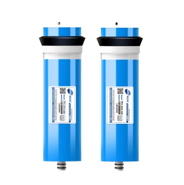 2 buah 400 gpd filter osmosis  - Basin Mixer Cartridge ulasan dan harga